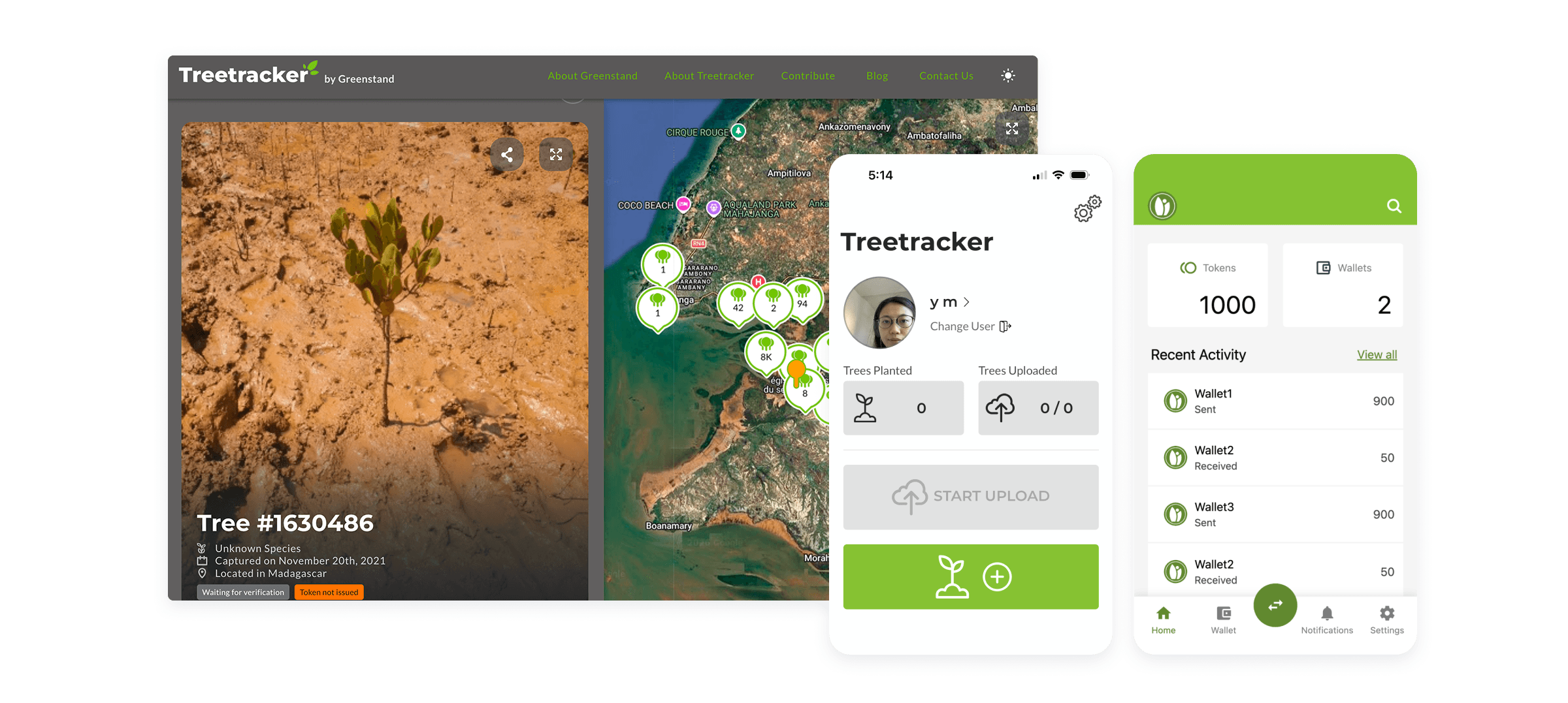 Greenstand Treetracker app ecosystem