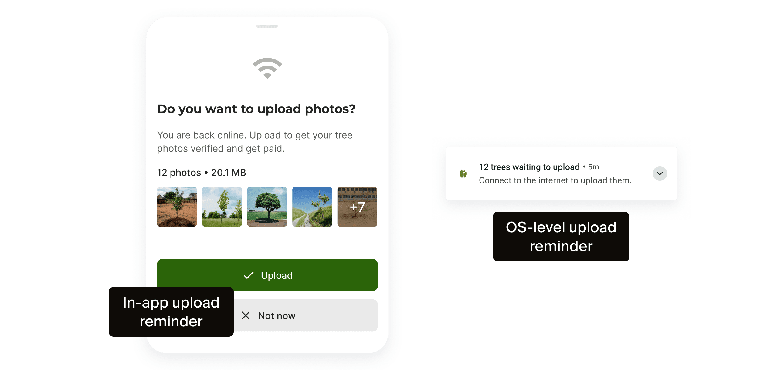 Upload reminder screens for pending tree photos